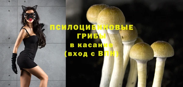 шишки Балахна