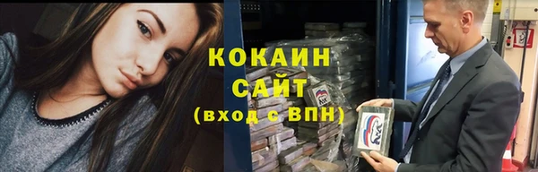 шишки Балахна