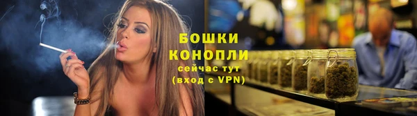шишки Балахна