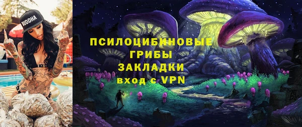 гашик Баксан