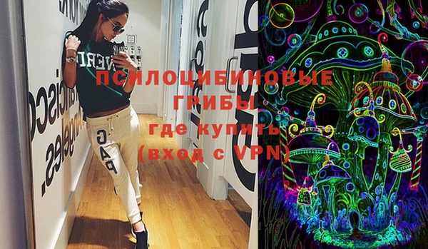 шишки Балахна