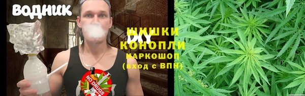 шишки Балахна