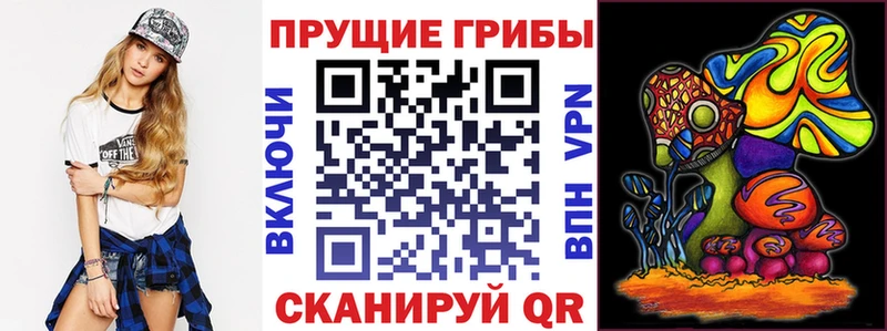 Галлюциногенные грибы Psilocybe мориарти наркотические препараты Вятские Поляны