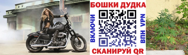 blacksprut зеркало  Вятские Поляны  Бошки Шишки гибрид 
